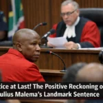 Julius Malema's Landmark Sentence
